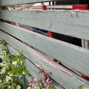 IMG-20250731-WA0061